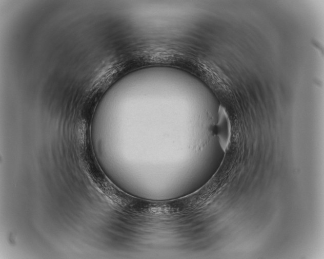 X0000096470744200802141657