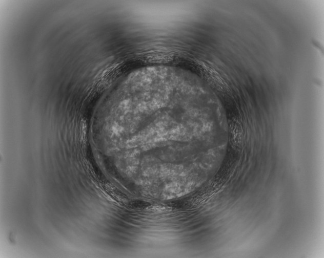 X0000096470745200802141657