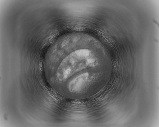 X0000096470746200802141657