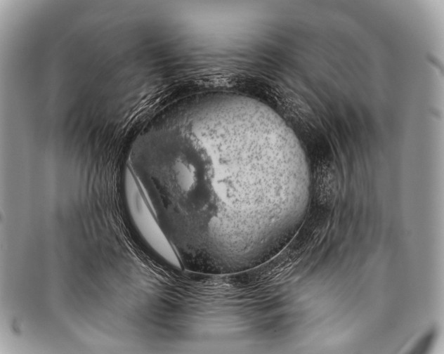 X0000096470747200802141657