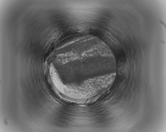 X0000096470748200802141657