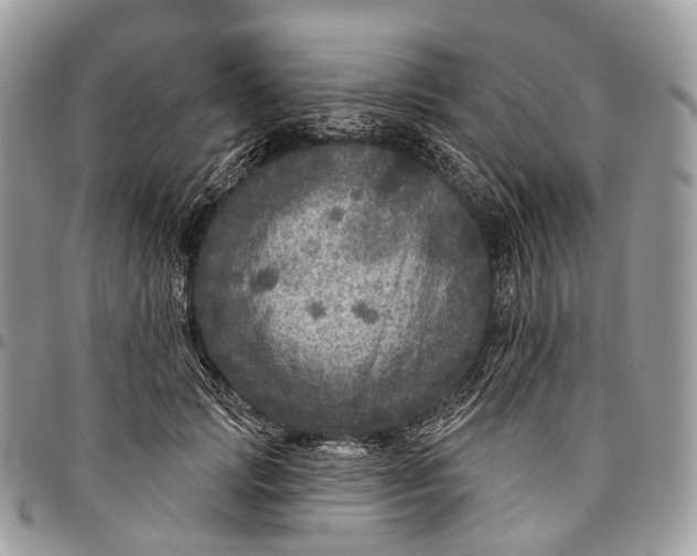 X0000096470749200802141657