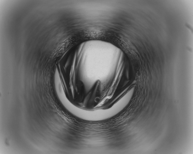 X0000096470750200802141657