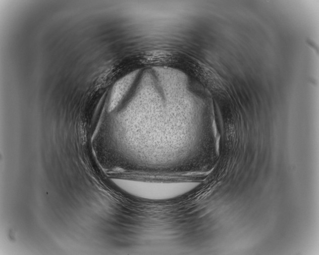 X0000096470751200802141658