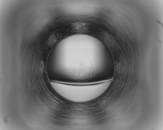 X0000096470752200802141658