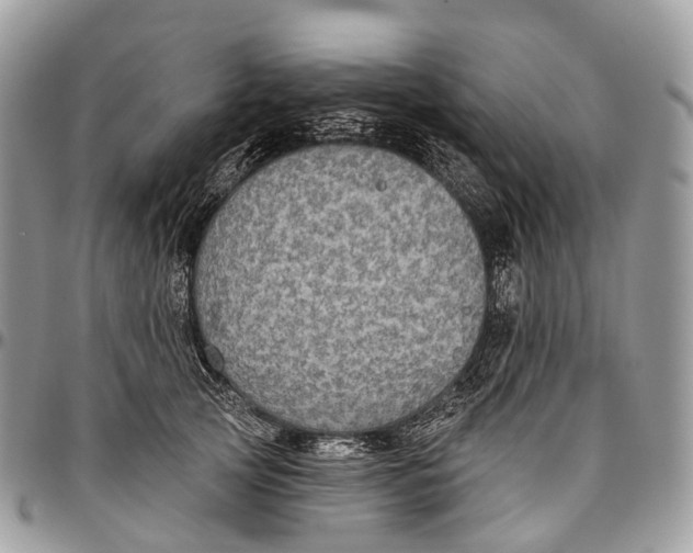 X0000096470753200802141658