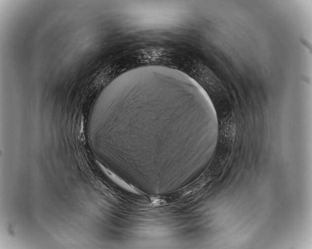 X0000096470754200802141658