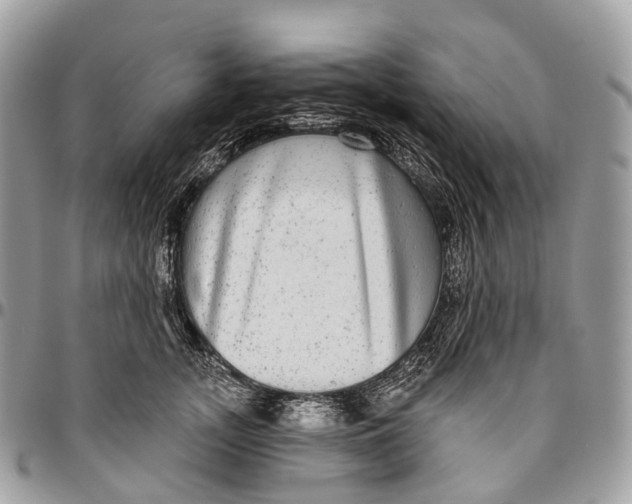 X0000096470755200802141658