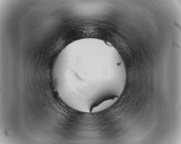 X0000096470756200802141658