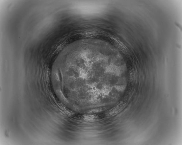 X0000096470757200802141658