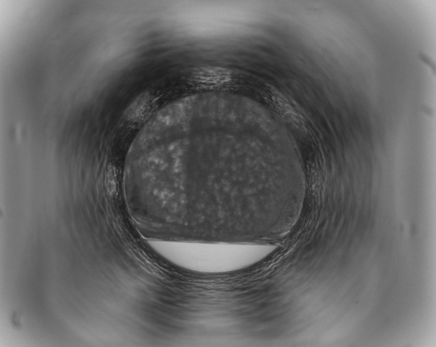 X0000096470758200802141658