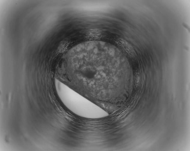 X0000096470759200802141658