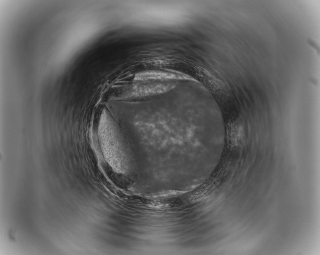 X0000096470760200802141658