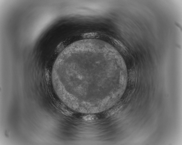 X0000096470761200802141658