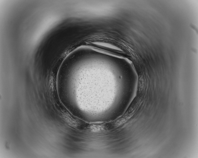 X0000096470762200802141658