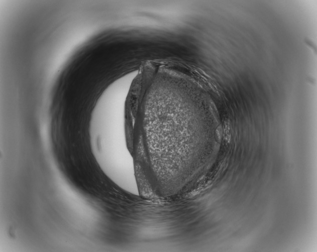 X0000096470763200802141658