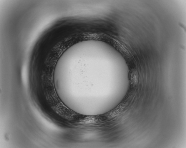 X0000096470764200802141658