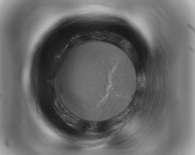 X0000096470765200802141658