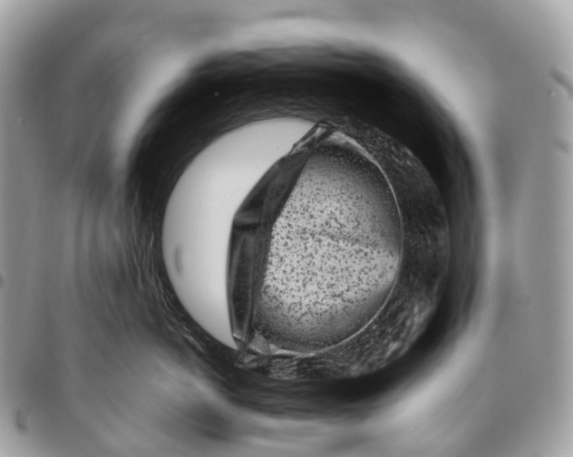 X0000096470766200802141658