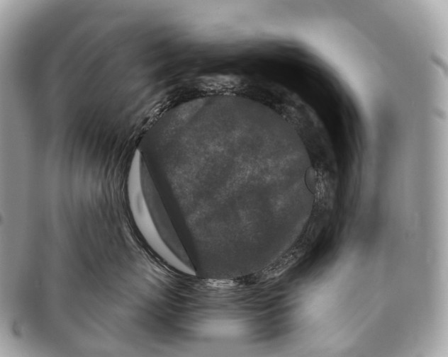 X0000096470767200802141658