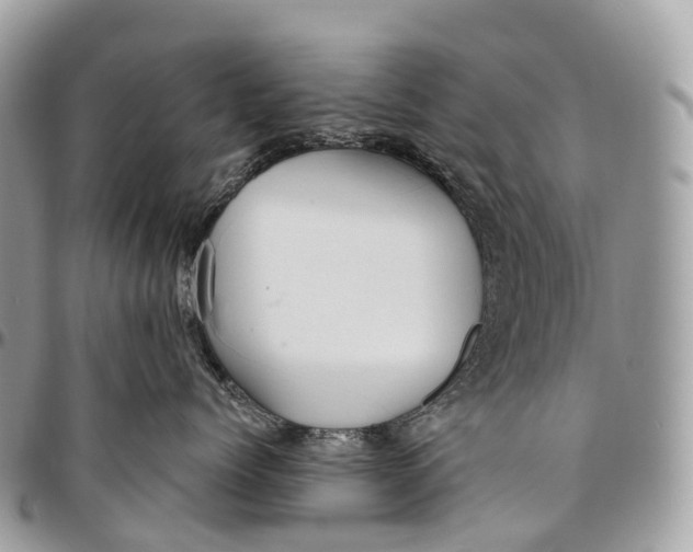 X0000096470768200802141658