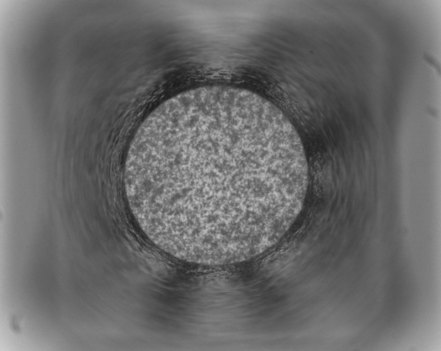 X0000096470769200802141657