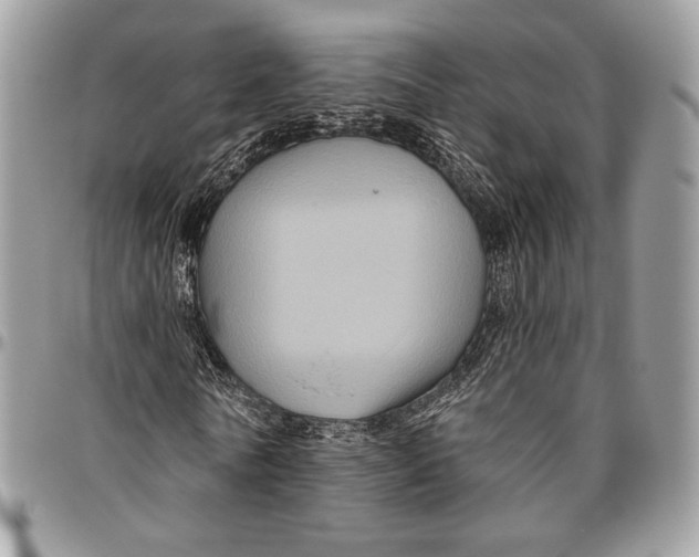 X0000096470770200802141657