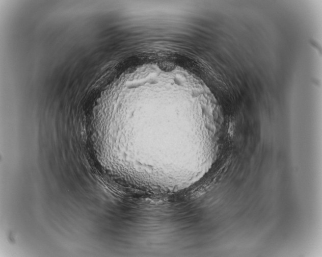 X0000096470771200802141657