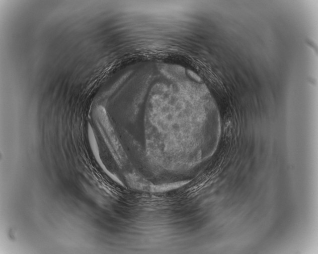 X0000096470772200802141657