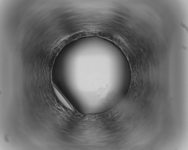 X0000096470773200802141657