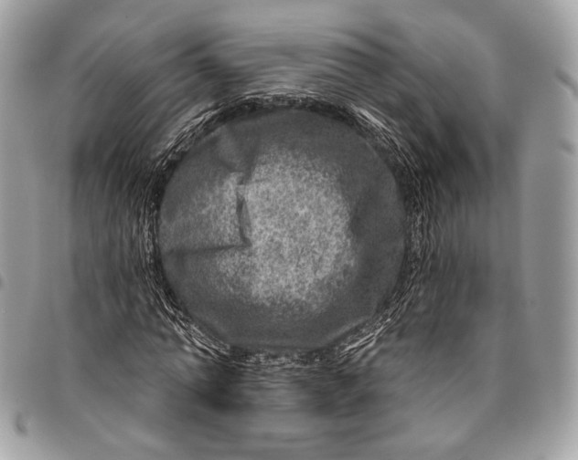 X0000096470774200802141657