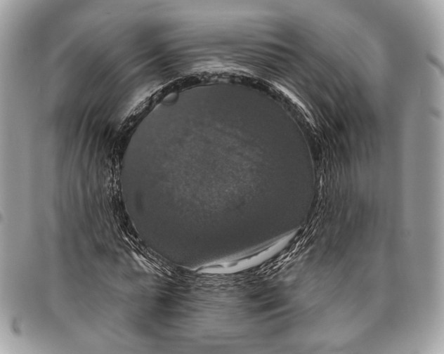 X0000096470775200802141657