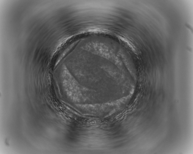 X0000096470776200802141657