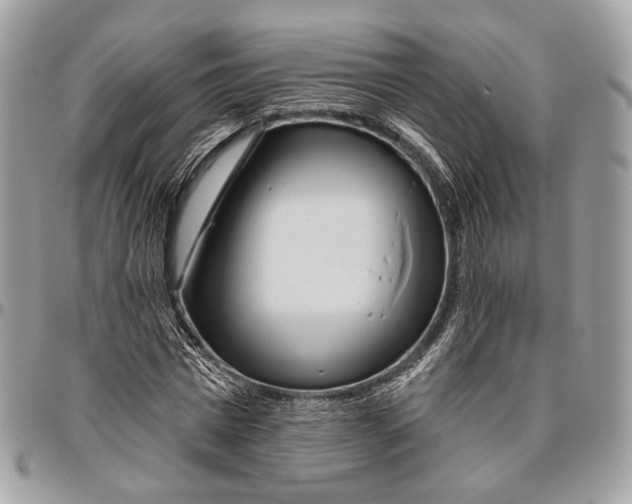 X0000096470777200802141657