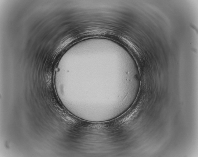 X0000096470778200802141657