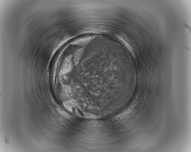 X0000096470779200802141657