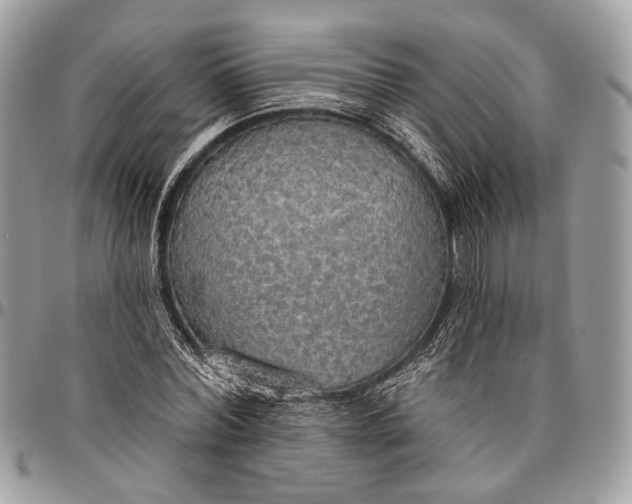 X0000096470780200802141657