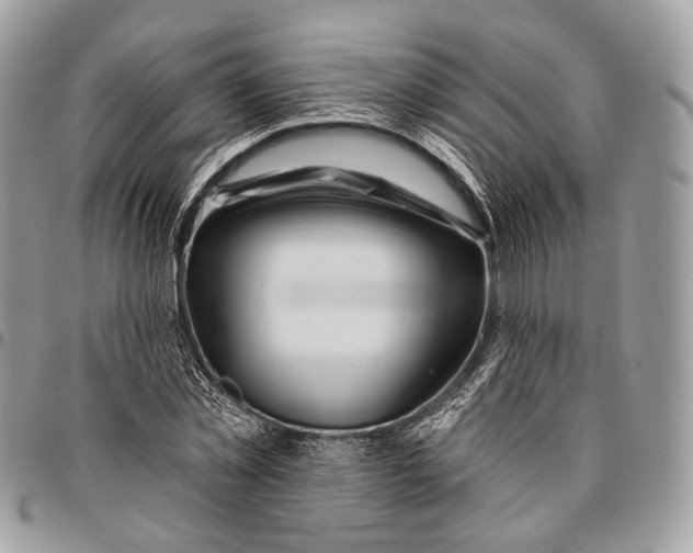 X0000096470781200802141657