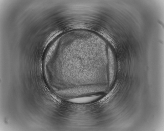 X0000096470782200802141657