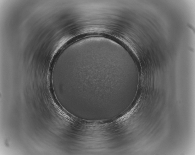 X0000096470783200802141657