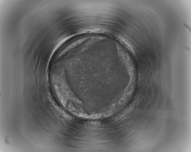 X0000096470784200802141657