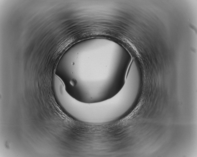 X0000096470785200802141657