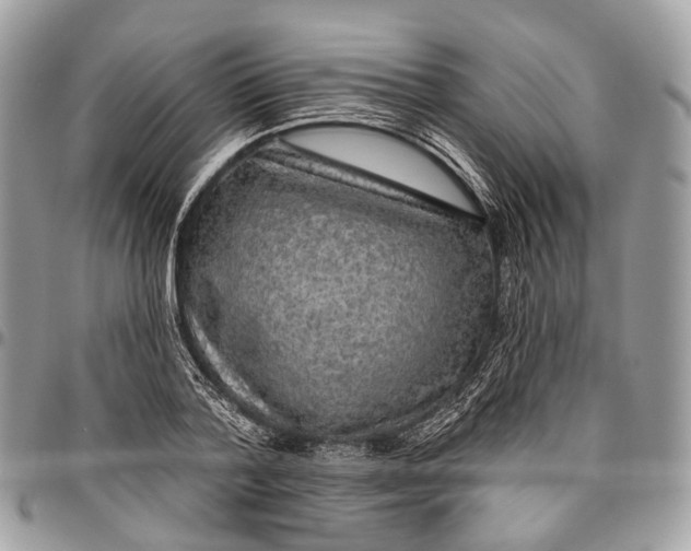 X0000096470788200802141657