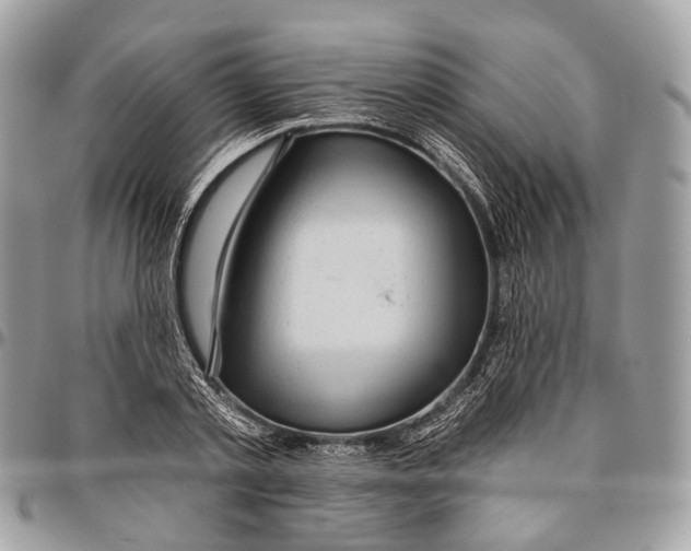 X0000096470789200802141657