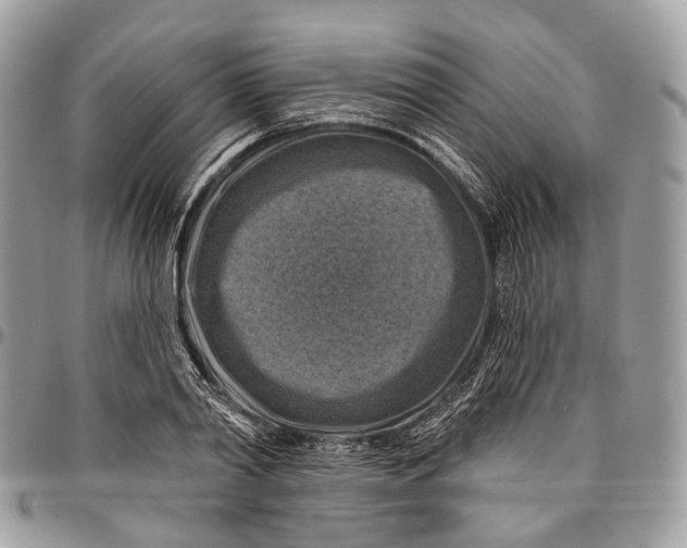 X0000096470790200802141657