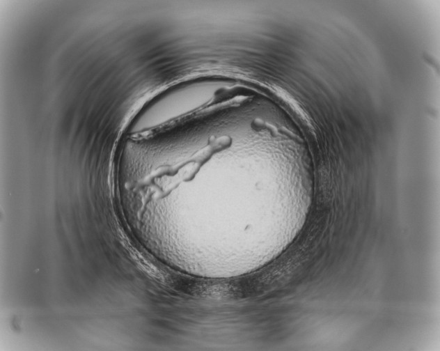 X0000096470791200802141657