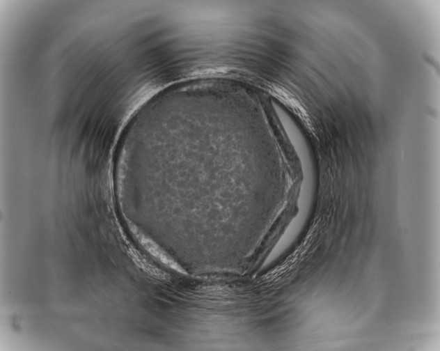 X0000096470792200802141657