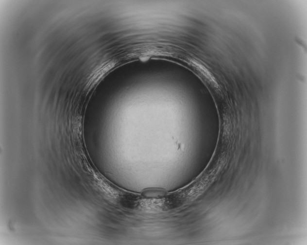 X0000096470793200802141657