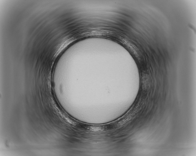 X0000096470794200802141657