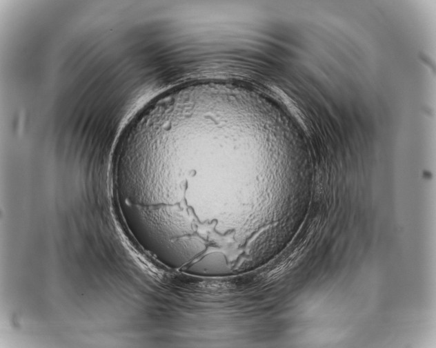 X0000096470795200802141657